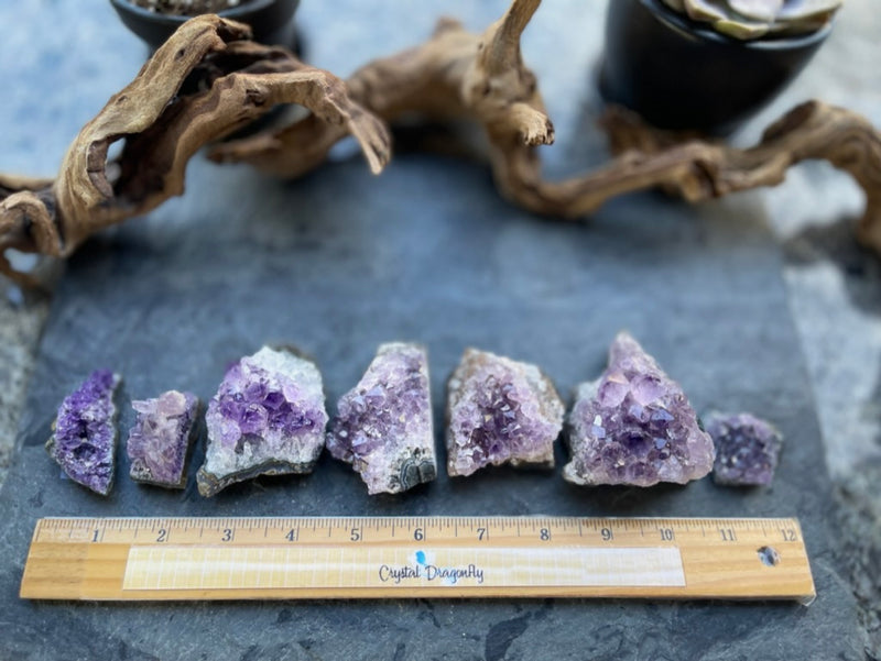 Amethyst Clusters from Uruguay FB1595